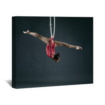 Flexible Girl Performs Trick With Hanging Hoop Wall Art 85706538