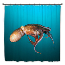 Flight Of Giant Octopus Bath Decor 97249705