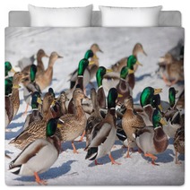 Flock Of Ducks In Winter Bedding 99772772