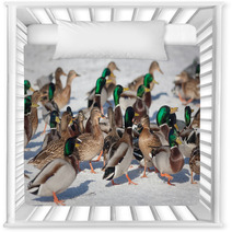 Flock Of Ducks In Winter Nursery Decor 99772772