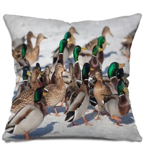 Flock Of Ducks In Winter Pillows 99772772