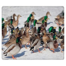 Flock Of Ducks In Winter Rugs 99772772