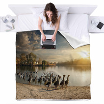 Flock Of Geese Blankets 72217231