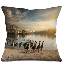 Flock Of Geese Pillows 72217231