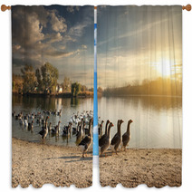 Flock Of Geese Window Curtains 72217231