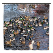 Flock Of Many Mallard Ducks In The Water And A Seagull Flying Above Them Bath Decor 100358385