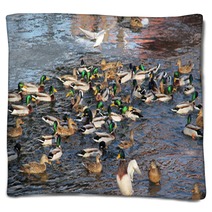 Flock Of Many Mallard Ducks In The Water And A Seagull Flying Above Them Blankets 100358385