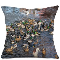 Flock Of Many Mallard Ducks In The Water And A Seagull Flying Above Them Pillows 100358385