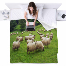 Flock Of Sheep Blankets 55242683