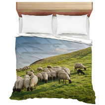 Flock Of Sheep Grazing Bedding 97729982