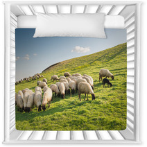 Flock Of Sheep Grazing Nursery Decor 97729982