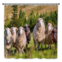 Flock Of Sheep Grazing On The Hills Of The Mountains Bath Decor 71087106