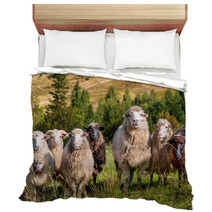 Flock Of Sheep Grazing On The Hills Of The Mountains Bedding 71087106