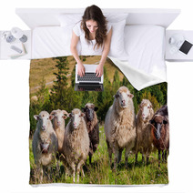 Flock Of Sheep Grazing On The Hills Of The Mountains Blankets 71087106