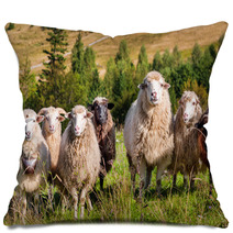 Flock Of Sheep Grazing On The Hills Of The Mountains Pillows 71087106