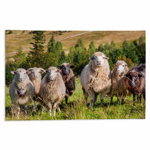 Flock Of Sheep Grazing On The Hills Of The Mountains Rugs 71087106