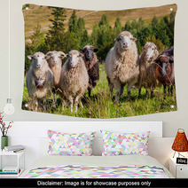 Flock Of Sheep Grazing On The Hills Of The Mountains Wall Art 71087106