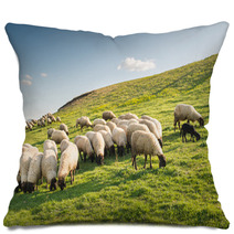 Flock Of Sheep Grazing Pillows 97729982