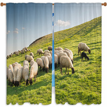 Flock Of Sheep Grazing Window Curtains 97729982