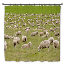 Flock Of Sheep In New Zealand Bath Decor 59594630
