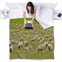 Flock Of Sheep In New Zealand Blankets 59594630