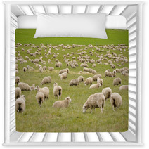 Flock Of Sheep In New Zealand Nursery Decor 59594630