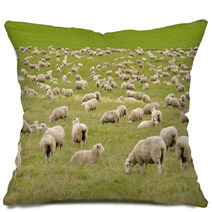 Flock Of Sheep In New Zealand Pillows 59594630