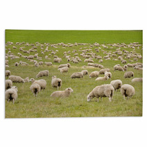 Flock Of Sheep In New Zealand Rugs 59594630