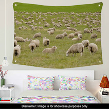 Flock Of Sheep In New Zealand Wall Art 59594630
