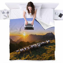 Flock Of Sheep In Saibi Mountain Blankets 89844093