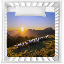Flock Of Sheep In Saibi Mountain Nursery Decor 89844093