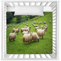 Flock Of Sheep Nursery Decor 55242683