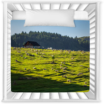 Flock Of Sheep On The Meadow Near  Forest In Mountains Nursery Decor 99449182