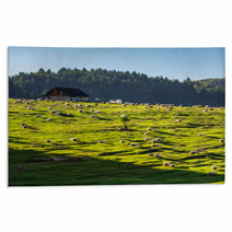 Flock Of Sheep On The Meadow Near  Forest In Mountains Rugs 99449182