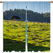 Flock Of Sheep On The Meadow Near  Forest In Mountains Window Curtains 99449182