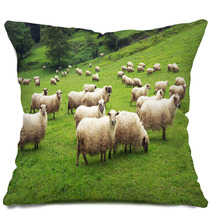 Flock Of Sheep Pillows 55242683