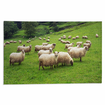 Flock Of Sheep Rugs 55242683