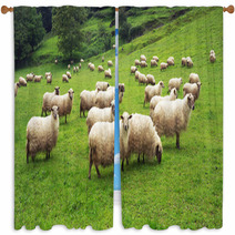 Flock Of Sheep Window Curtains 55242683