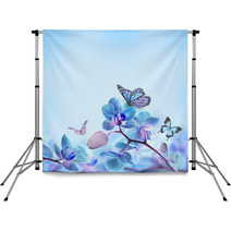 Floral Background Of Tropical Orchids And  Butterfly Backdrops 62095244
