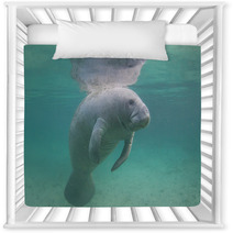 Florida Manatee Underwater Nursery Decor 71056772