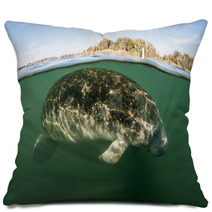 Florida Manatee Underwater Pillows 68141430