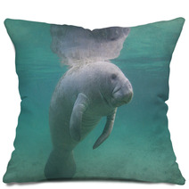 Florida Manatee Underwater Pillows 71056772