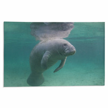 Florida Manatee Underwater Rugs 71056772