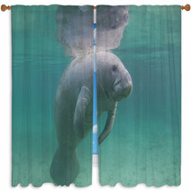 Florida Manatee Underwater Window Curtains 71056772