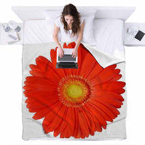 Flower Blankets 1830743