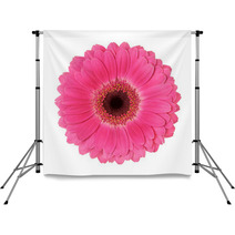 Flower On A White Background Backdrops 43158354