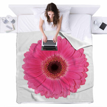 Flower On A White Background Blankets 43158354