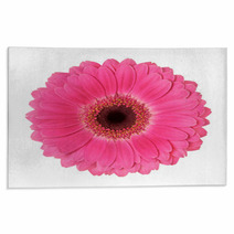 Flower On A White Background Rugs 43158354