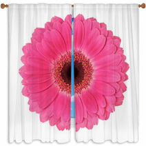 Flower On A White Background Window Curtains 43158354