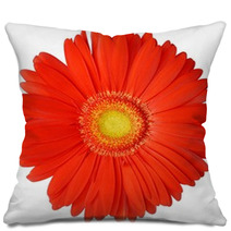 Flower Pillows 1830743